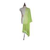 Organza jute dupatta M J HANDLOOMS